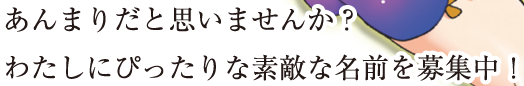 あんまりだと思いませんか？わたしにぴったりな素敵な名前を募集中！