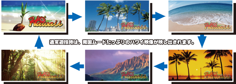 �ʏ�V�Y���́A�썑���[�h�����Ղ�̃n���C�̉f�����f���o����܂��B